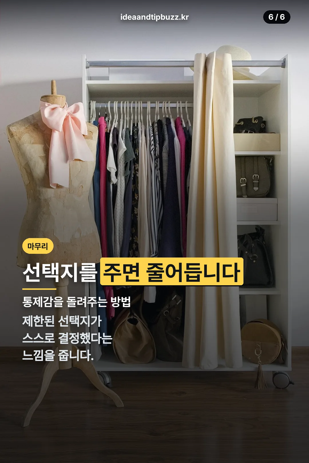 선택지 주기 팁