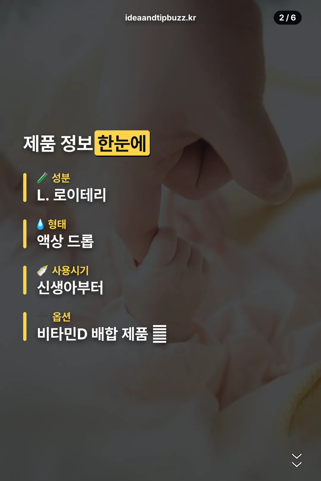 제품 정보 한눈에