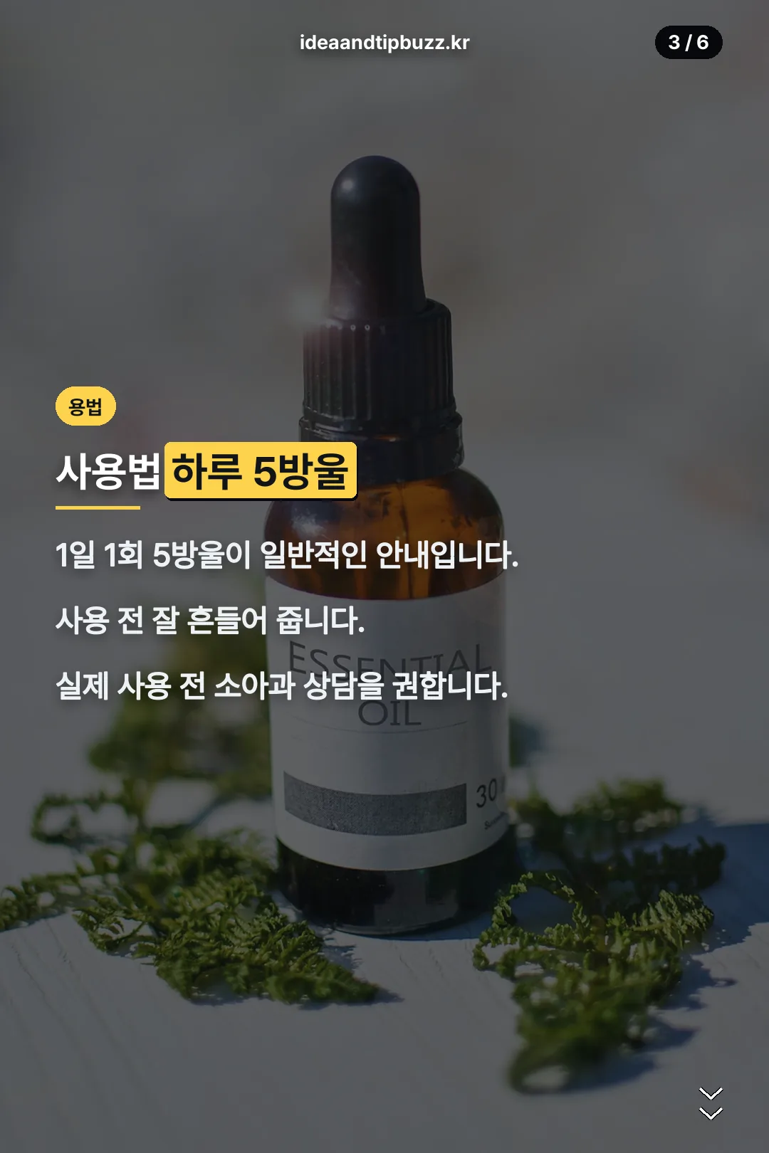 하루 5방울 사용법