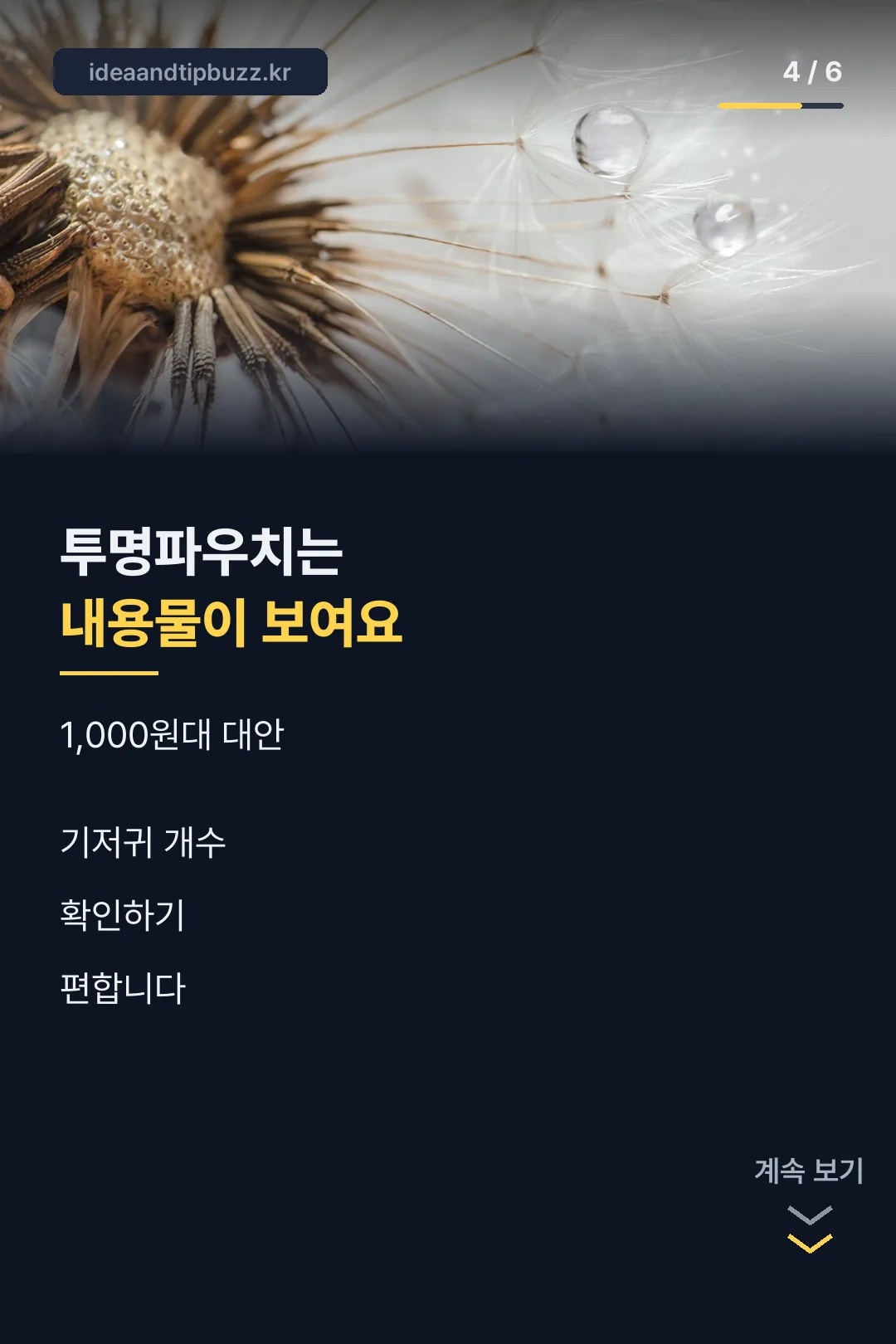 투명파우치 대안