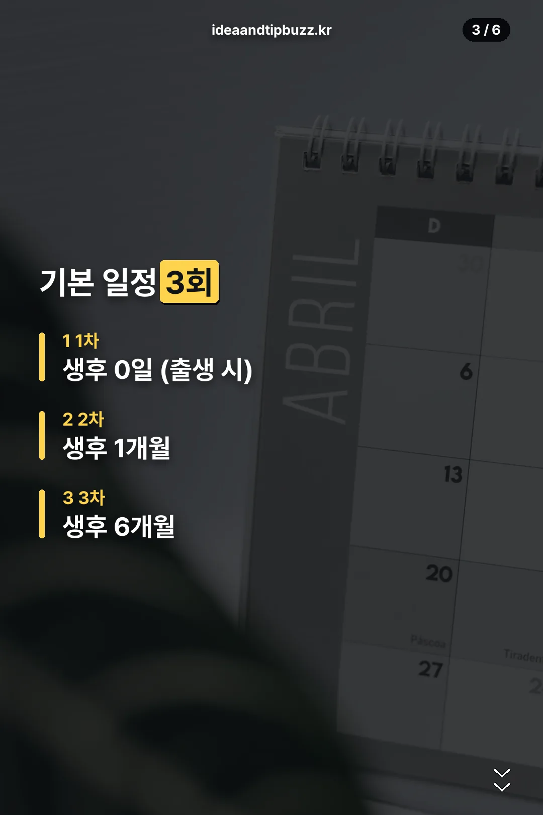 기본 일정 3회