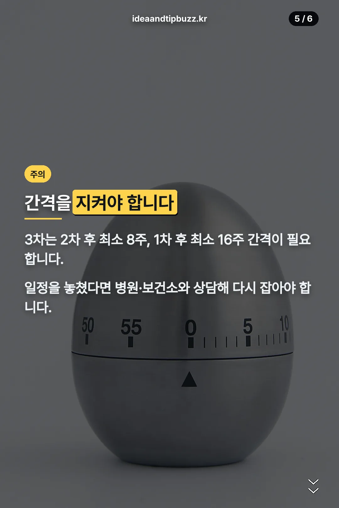 접종 간격 주의
