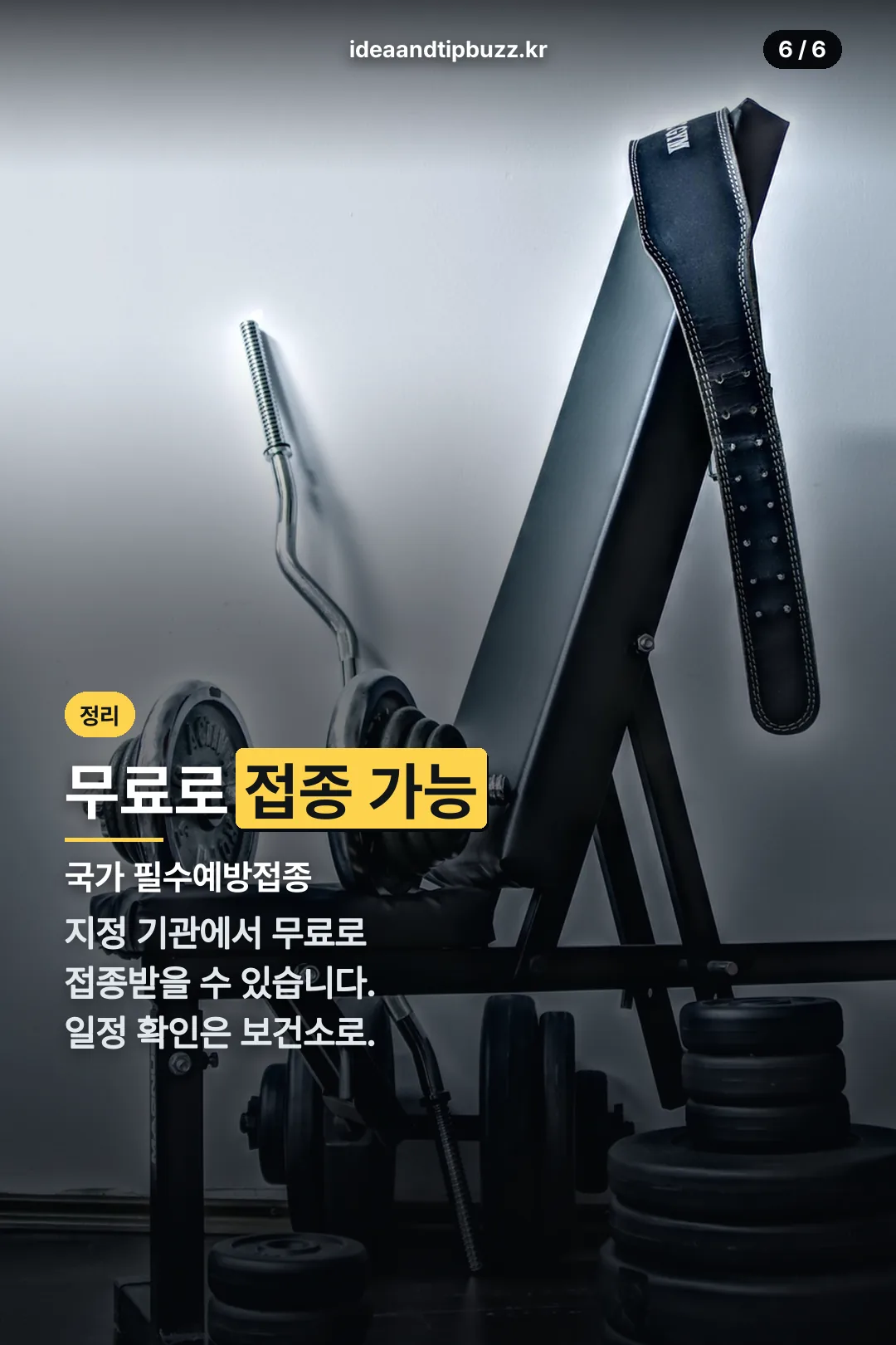 무료 접종 안내