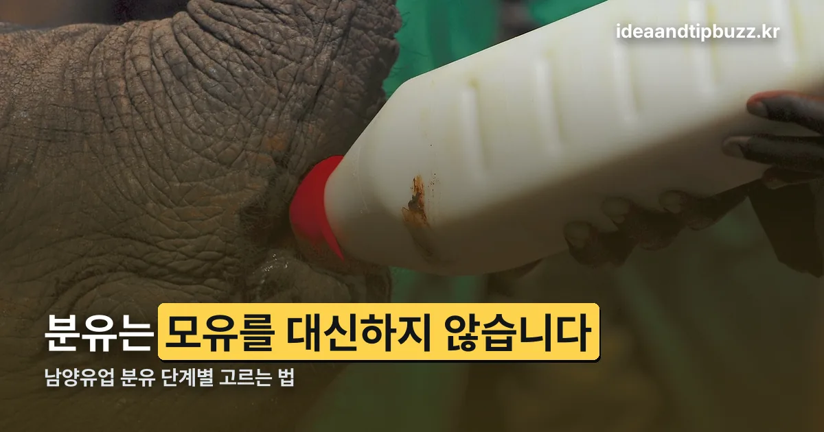 남양유업 분유 정리 썸네일