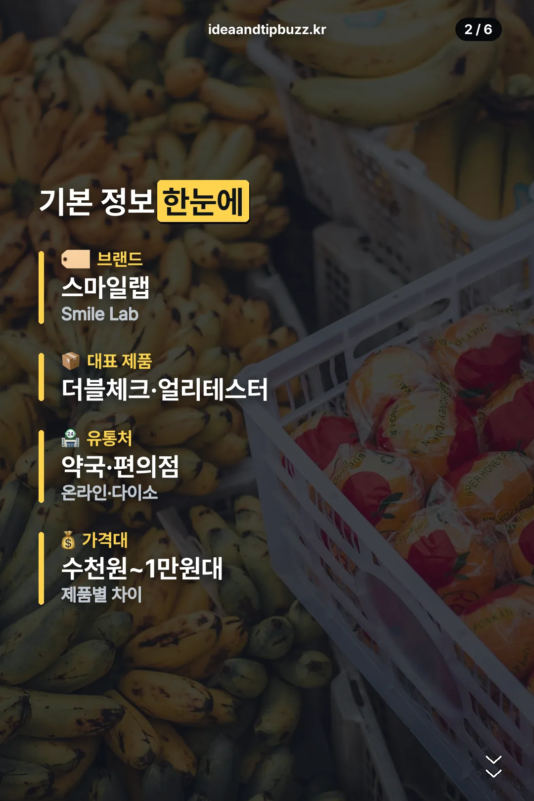 기본 정보 요약