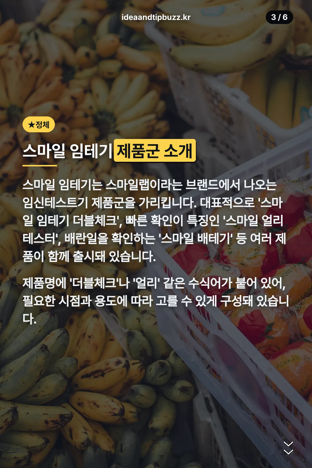 제품군 소개