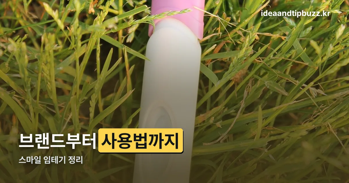 스마일 임테기 정리 썸네일
