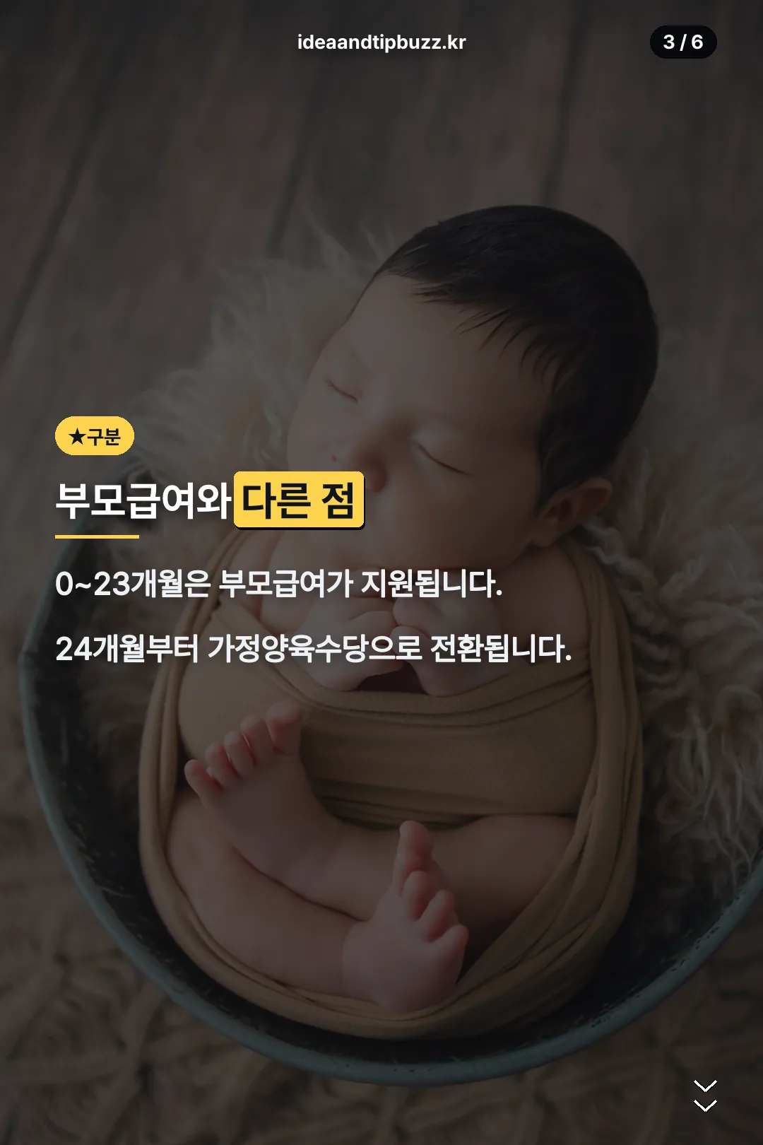 부모급여와 구분