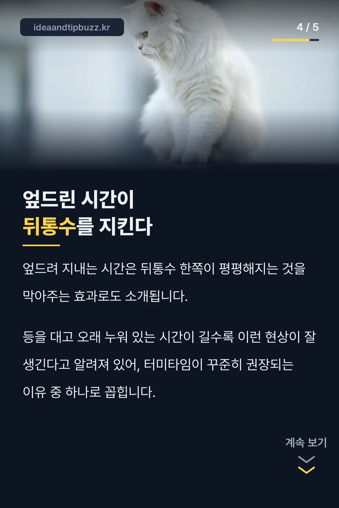 엎드린 시간이 뒤통수를 지키는 기록