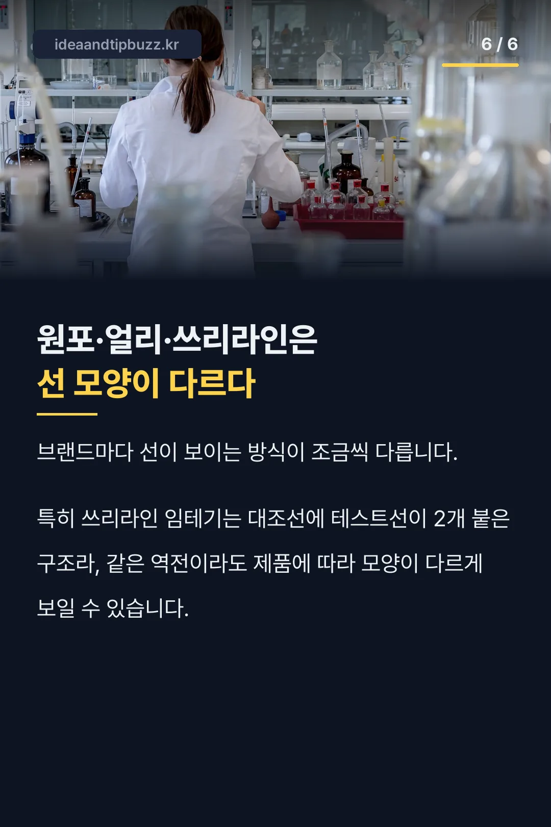 브랜드별 선 모양 차이